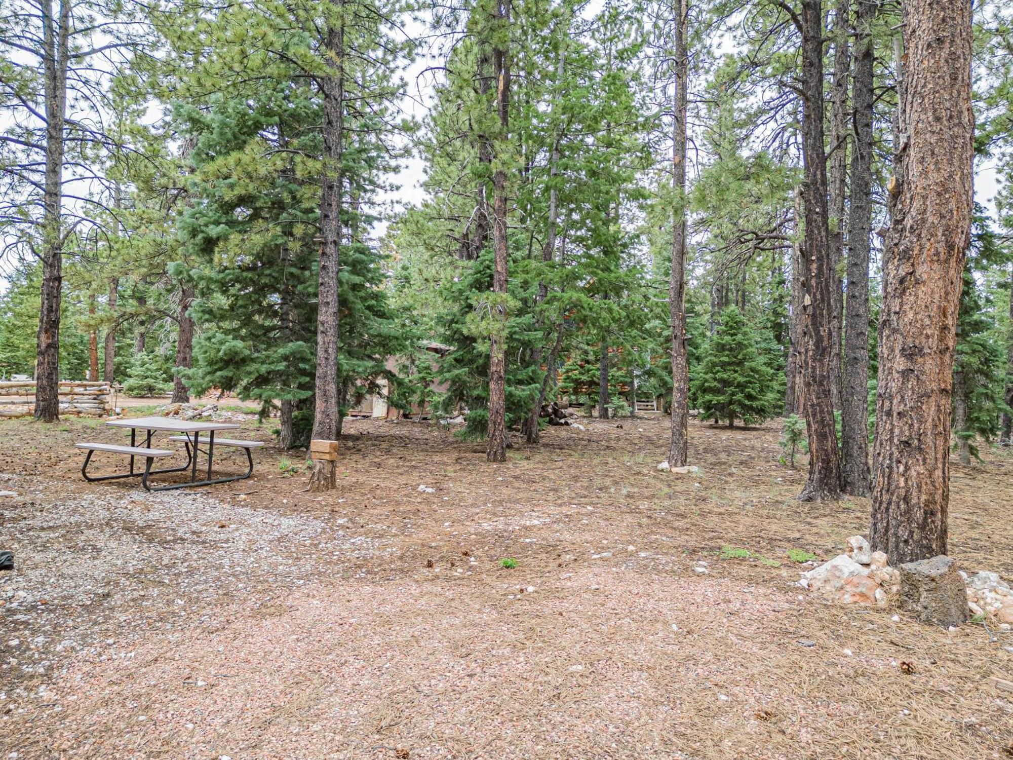 Hillside Hideaway Villa Duck Creek Village Exterior foto